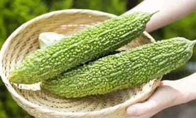 Oliver F1 BEST QUALITY BITTER GOURD SEEDS Seed(25 per packet)