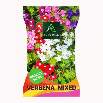 AGRO MILL VERBENA/VERVAIN MULTIFLORA MIXED PREMIUM QUALITY FLOWER Seed(50 per packet)
