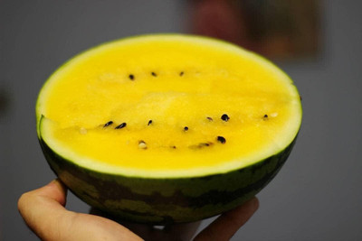 Biosnyg High Yield Yellow Doll Watermelon Fruit Seeds for Garden-(50 Seeds) Seed(50 per packet)