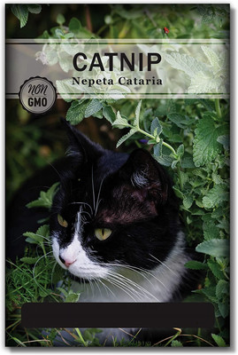 WILLVINE F1 Hybrid Catnip Seeds Herb Will Make Your Cat Happy Seed(5000 per packet)