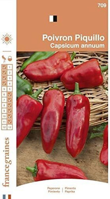 KNESSiN Piquillo Pepper Chilli Seed(1250 per packet)