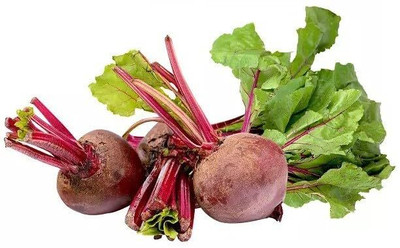 LPR CHUKANDAR,,BEETROOT Seed(100 per packet)