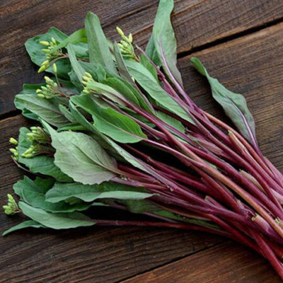 WILLVINE MEH -XIII Purple Choy Sum Chinese Cabbage [50g] Seed(15000 per packet)
