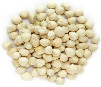 VibeX VVI-21 - PKM1 Moringa Oleifera - (1350 Seeds) Seed(1350 per packet)