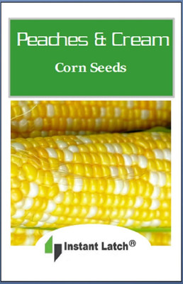 WILLVINE HUA -IX Peaches & Cream Sweet Corn Seeds-[100g] Seed(400 per packet)