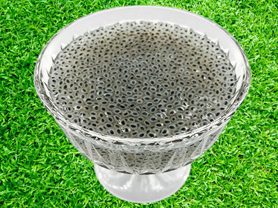 DARKWAVE Malanga,Sabja,Tukhmalanga,chiaseeds Seed(500 g)