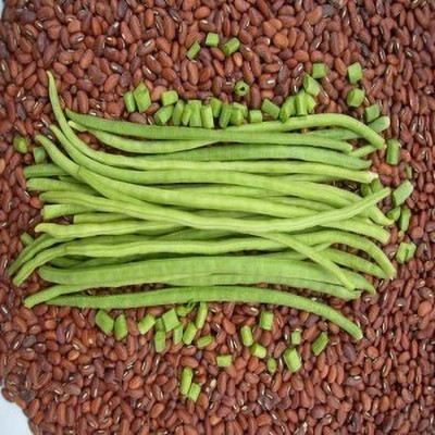 AloGardening Snake Bean Seed(75 per packet)
