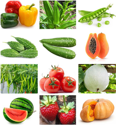 the green dotcom 12 Variety Vegetable Combo Pack for Garden - Fresh Seeds for Home Garden Seed(2500 per packet)