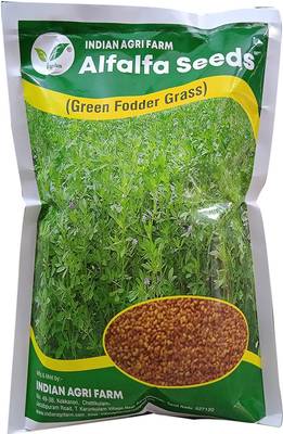 IAgriFarm Alfalfa / Lucerne / kuthirai Masal Seeds -1 Kg For Fodder Cultivation Seed