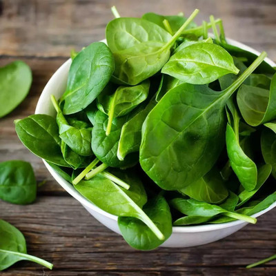 Quentova Palak/Spinach-ICRA-22E Seed(200 per packet)
