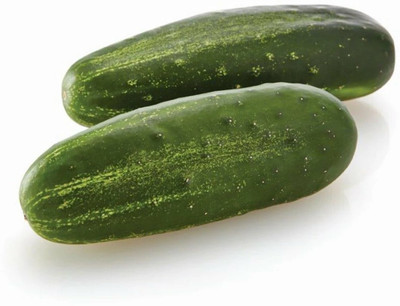 WHYGI Cucumber Diva F1 Seed-CuC_641 Seed(100 per packet)