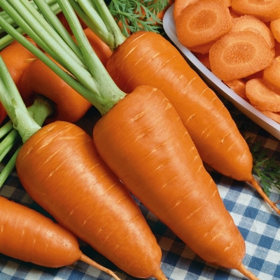 Arshiayat Carrot Vegetable Seed(120 per packet)
