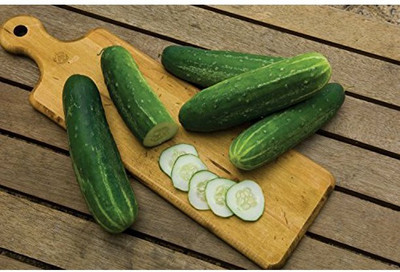 WHYGI Cucumber Sassy F1 Seed-CuC_1643 Seed(500 per packet)