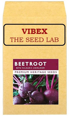 CYBEXIS Purple Beetroot Hybrid Seeds2000 Seeds Seed(2000 per packet)