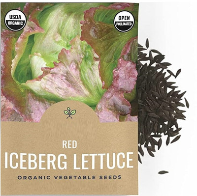 Qualtivate DXL-2AT Red Iceberg Lettuce Seed(300 per packet)
