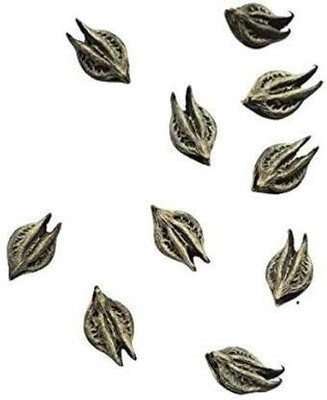 ANDARISTORE Bat Head Roots Seeds | Evil Pods | Wood Devil | Kaknasa Martynia Seed(5 per packet)
