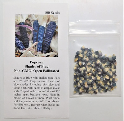 VibeX ® VLR-562 Popcorn Shades of (Blue) Seed(500 per packet)