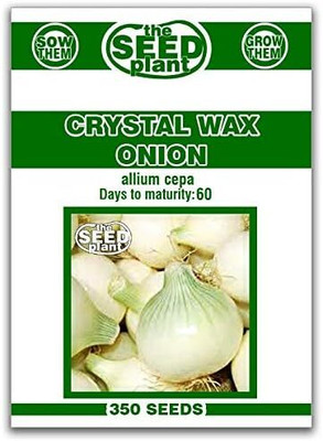 WILLVINE PAU -III Crystal Wax Onion Seeds [1g] Seed(750 per packet)