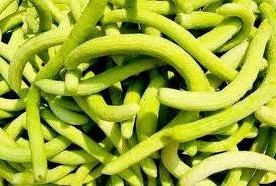 jenric Long cucumber seeds, Cucumber seeds, Kakadi seeds, Kakadi ka beej Seed(50 per packet)