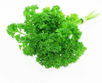 Quentova Triple Curled Parsley herb-VII-6E Seed(50 per packet)