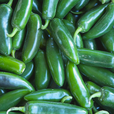 LIFELEX Hot and Spicy Red,Green Chili Pepper Seed(80 per packet)