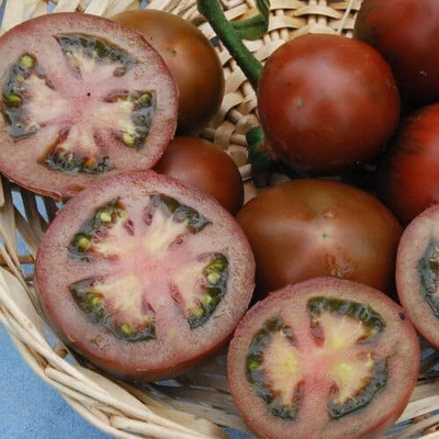 Biosnyg Organic Russian Black Tomato Summer Vegetable Seeds For Gardening - (1000 Seeds) Seed(1000 per packet)