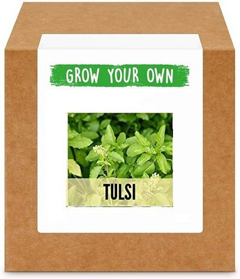 CYBEXIS Tulsi400 Seeds Seed(400 per packet)