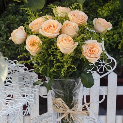 CYBEXIS LXI-90 - Champagne Rose - (900 Seeds) Seed(900 per packet)