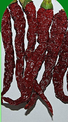 WILLVINE SYN -IV Byadgi chilli | Kashmiri chilli |Sona-63 Chilli seeds[1gm, 200 Seeds] Seed(200 per packet)
