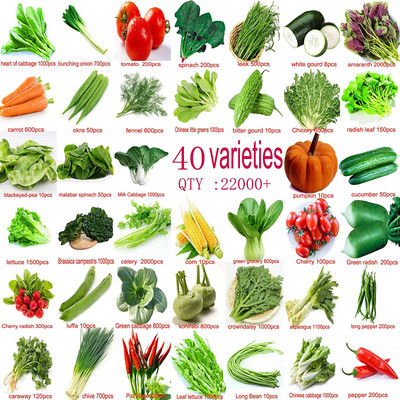 Greenery Hub 40 Variety of Organic Vegetable Seeds Combo Pack Seed(2200 per packet)