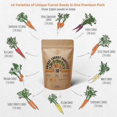 Qualtivate HUA-1A 10 Carrot Variety Pack Seed(300 per packet)