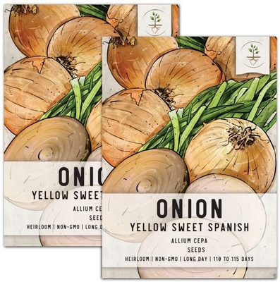Qualtivate PUA-8A Yellow Sweet Spanish Onion Seeds Seed(500 per packet)