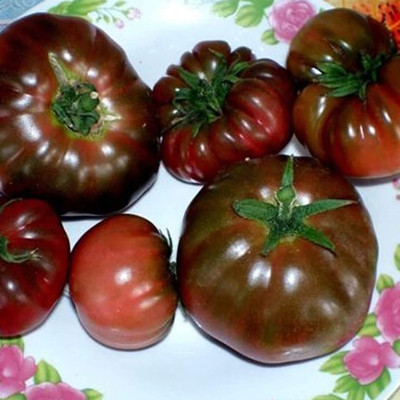 CYBEXIS High Yield Purple Tomato Seeds2000 Seeds Seed(2000 per packet)