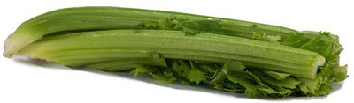 ENTENT Organic Green Celery Vegetable Seed(120 per packet)