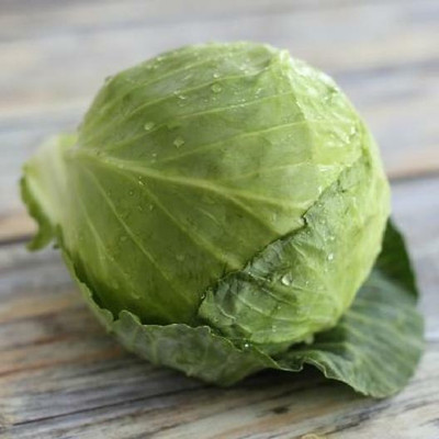 MYLAWN Cabbage Seeds - Golden Acre Seed(500 per packet)