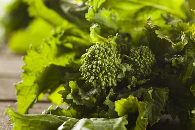 VibeX ® XLR-518 Spring Rapini, Rabe Broccoli Raab Seed(200 per packet)