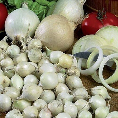 Qualtivate PUA-3A White Omion Seeds Seed(500 per packet)