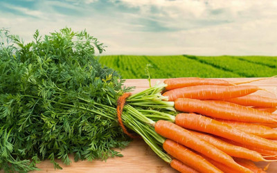 Aywal Organic Carrot Seeds For Growing Seed(4000 per packet)