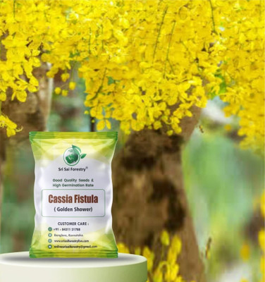 SRI SAI FORESTRY Cassia Fistula Golden Shower Flower Tree Seed(100 per packet)