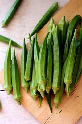 CYBEXIS XLL-1 - Lady Finger Okra - (1350 Seeds) Seed(1350 per packet)