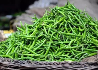 Aro Green Chilli, Chilli Pepper, Mirchi Seed(20 per packet)