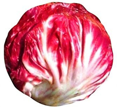 FUTABA Red Cabbage Vegetable Seeds Seed(100 per packet)