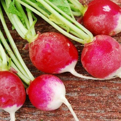 CYBEXIS Premium Vegetable Beetroot Seeds2000 Seeds Seed(2000 per packet)