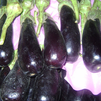 UGRA Brinjal Seed(200 per packet)