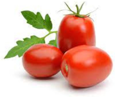 VRAKSHA Organic Tomato Vegetable Seed(2000 per packet)