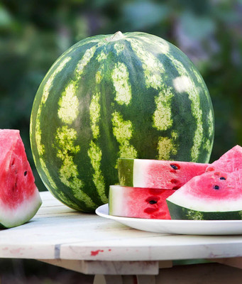 Farmonix Super Sweet Delicious Watermelon Seed(30 per packet)