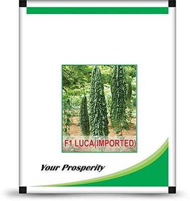 Qualtivate NBIR-356 Bitter Gourd (Karela) Seeds Seed(50 per packet)