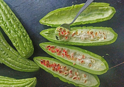 Qualtivate XXX-5A Bitter Gourd Heirloom Non-GMO Bittermelon Seed(50 per packet)