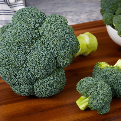 WILLVINE AMR -I Imported Broccoli Seeds [10g] Seed(3000 per packet)