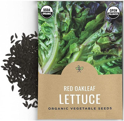 CYBEXIS Red Oakleaf Lettuce2000 Seeds Seed(2000 per packet)